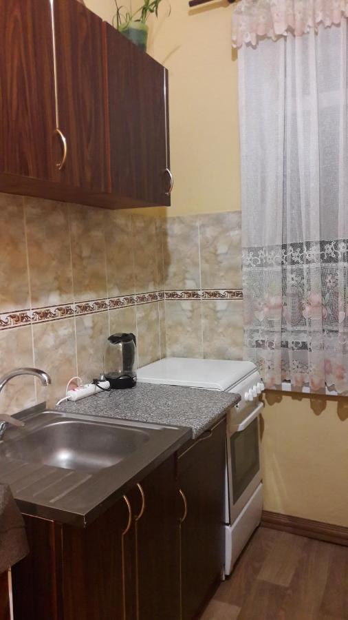 Apartment Pylnykarska 8А Lviv Bagian luar foto